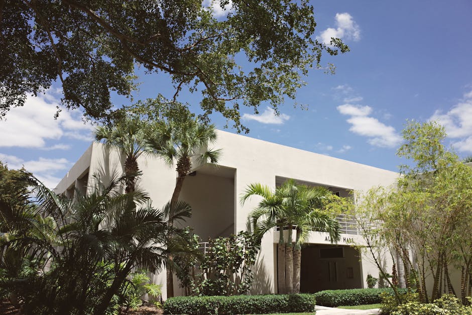 A modern university building in Coral Gables, Florida, surrounded by lush palm trees, on a bright sunny day.