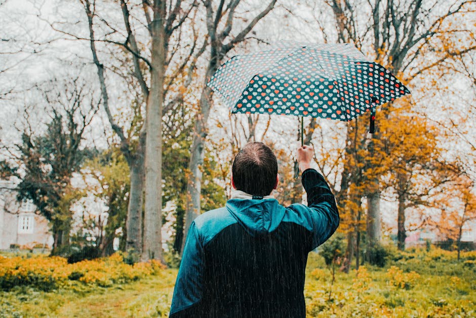 A person holding an umbrella in a rainy park during autumn, surrounded by bare trees.
