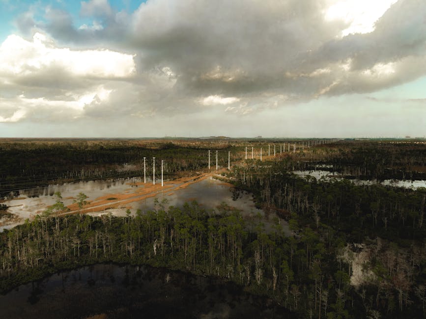 Homes in West Palm Beach, Palm Beach County, Florida - Labros Property Holdings service area