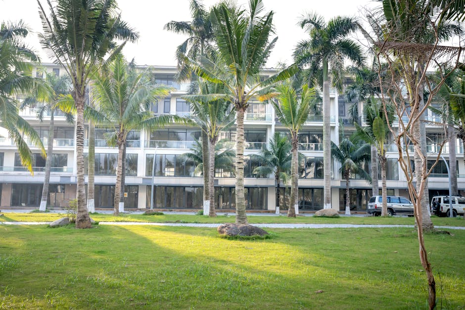 Facade of contemporary apartment building near lawn with growing verdant palms in tropical city