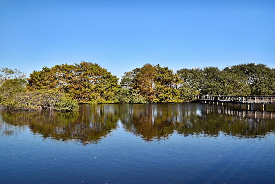 Homes in Delray Beach, Palm Beach County, Florida - Labros Property Holdings service area