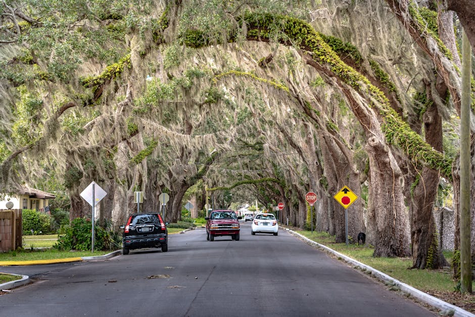Homes in Greenacres, Palm Beach County, Florida - Labros Property Holdings service area